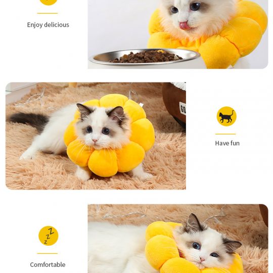 Petshub- Cat anti-licking headgear-4(1)