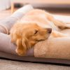 Petshub-Hipidog-L Shaped Dog Bed 2(1)