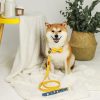 Petshub-Paws-holic-Dog-collar-leash-lemon-tree-2