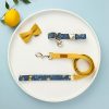 Petshub-Paws-holic-Dog-collar-leash-lemon-tree-3