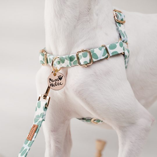 Petshub-Pawsholic Dog Harness-1