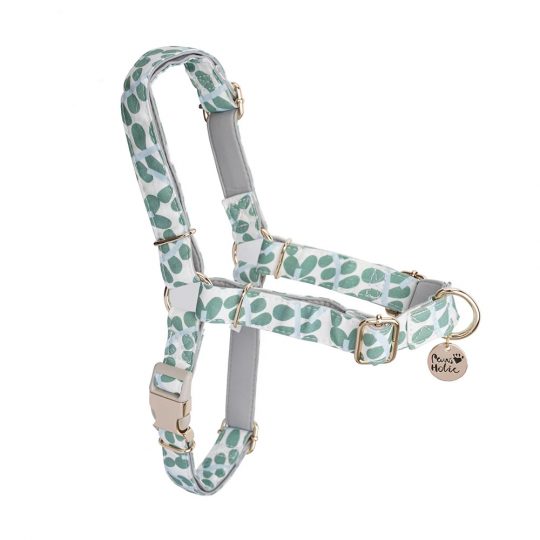 Petshub-Pawsholic Dog Harness-6