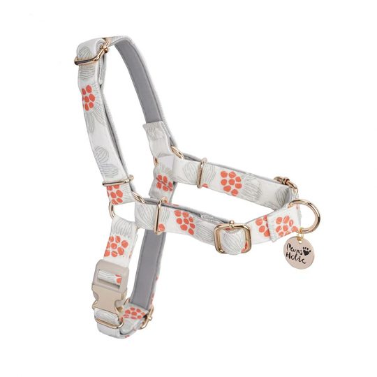 Petshub-Pawsholic Dog Harness-7