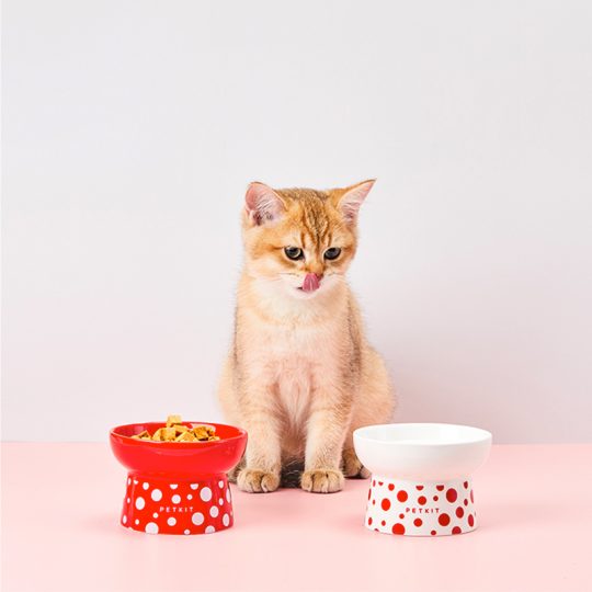 Petshub-Petkit-ceramic-cats-food-and-water-bowls-1(1)