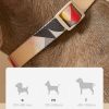 Petshub-Petshy Modern Multi Coloured Nylon Dog Collar-6