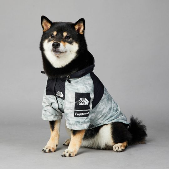 Petshub-The Dog Fans Jacket_Rain Coat-3