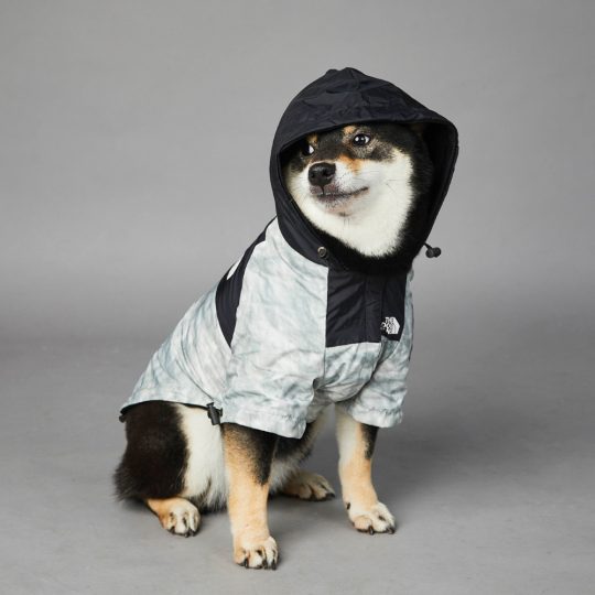 Petshub-The Dog Fans Jacket_Rain Coat-4