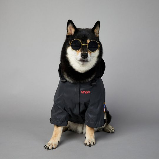 Petshub-The Dog Fans NASA Space Suit Raincoat-3