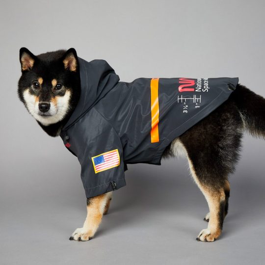 Petshub-The Dog Fans NASA Space Suit Raincoat-5