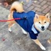 Petshub-The Dog Fans Navy Jacket_Rain Coat-4