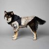 Petshub-The Dog Fans Raincoat-4