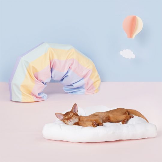 Petshub-ZEZE Rainbow Cat Tunnel With Cushion Bed-2(1)