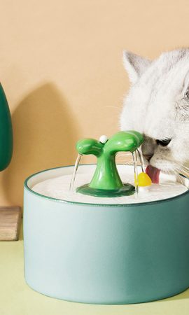 Petshub-Bowels&-Feeders