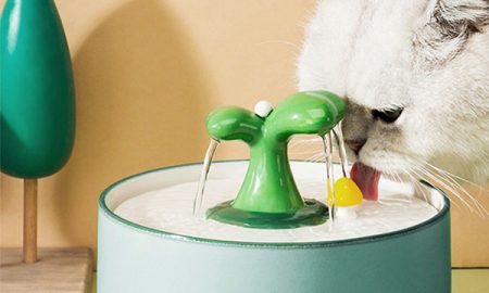 Petshub-Bowels&-Feeders
