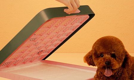 Petshub-Pet-Litter