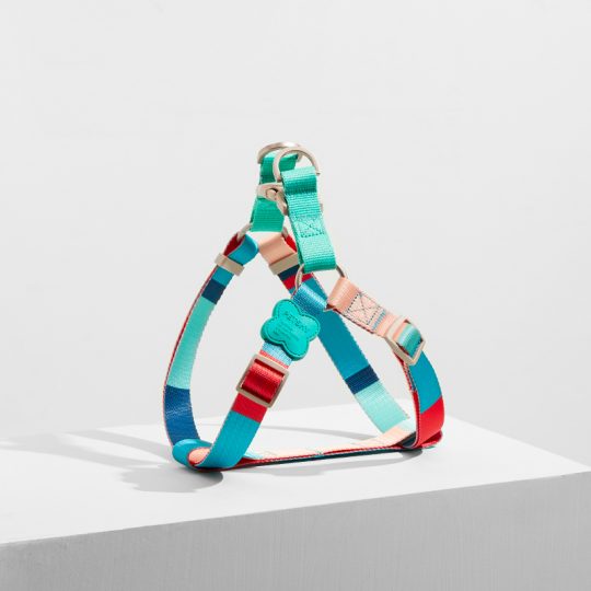 Petshub-Petshy Multi Coloured Y-Harness-2