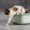 Petshub-Petshy-cat-litter-box-tray-6