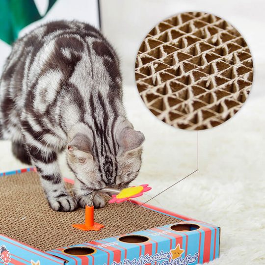 Petshub-FOFOS-Cat Scratcher Toys-3