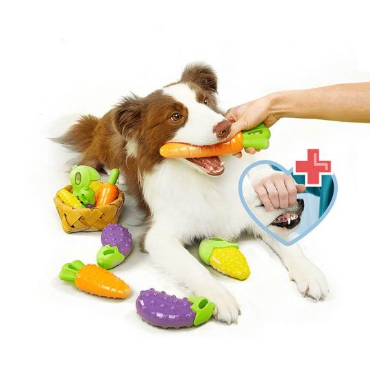 Petshub-FOFOS-Dog Activity Toy-3