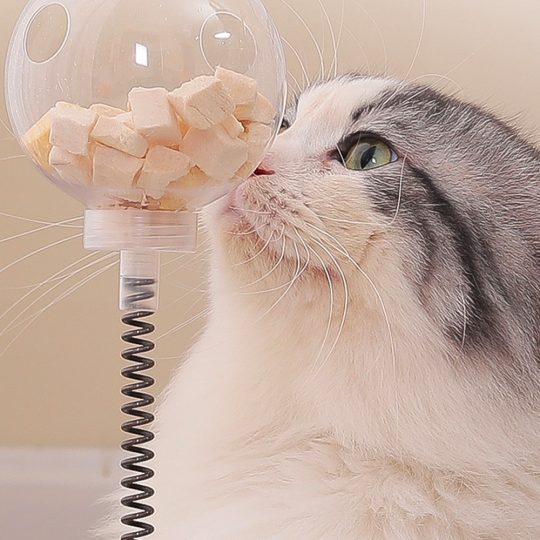 Petshub-Bulus Cat Food Dispenser Tumbler Toy-4