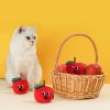 Petshub Cat toy apple 1