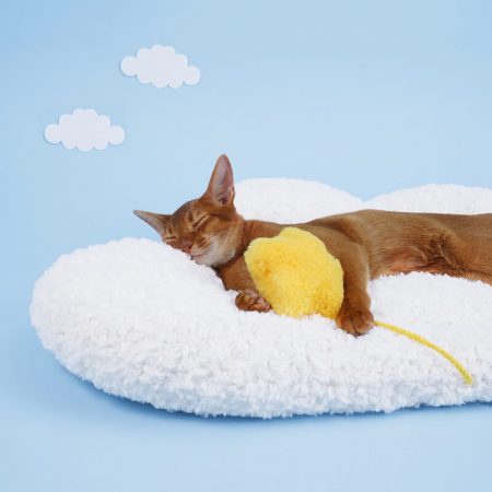 Petshub ZEZE -Cloud Pet Bed-1